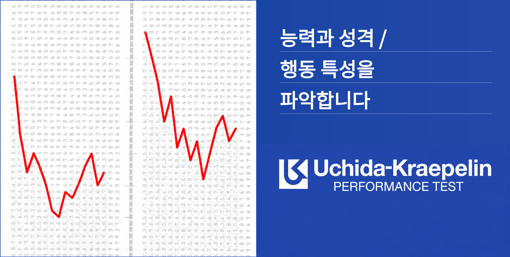 능력 및 성격·행동 특성 파악