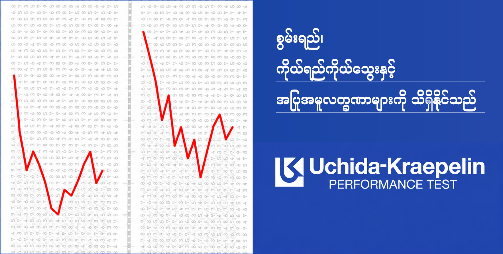 စွမ်းရည်၊ ကိုယ်ရည်ကိုယ်သွေးနှင့် အပြုအမူလက္ခဏာများကို သိရှိနိုင်သည်