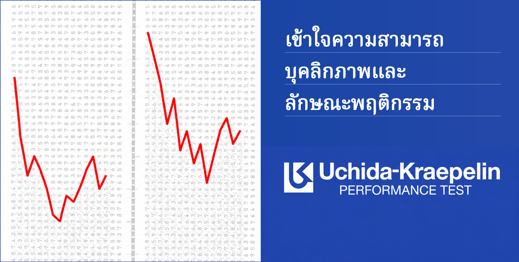 เข้าใจความสามารถ บุคลิกภาพและลักษณะพฤติกรรม