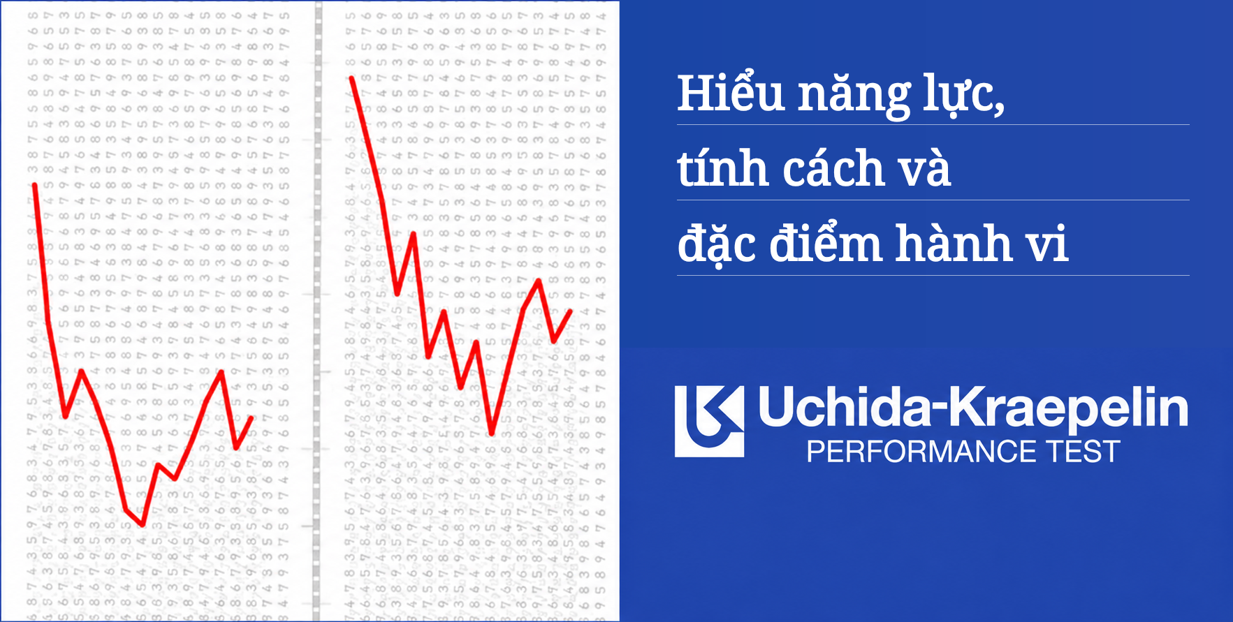 Hiểu năng lực, tính cách và đặc điểm hành vi